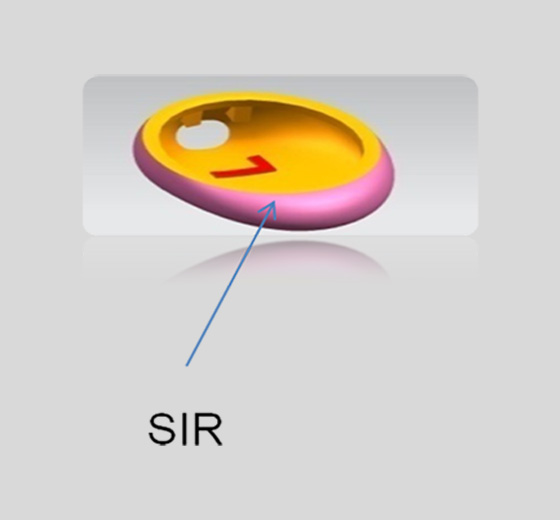 Silicone Earplug Cover 2